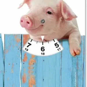 Parkimiskell "põrsas"