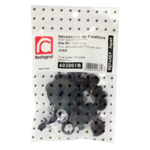 NF Aile AV Nissan Juke F15E Restagraf 06/2011-