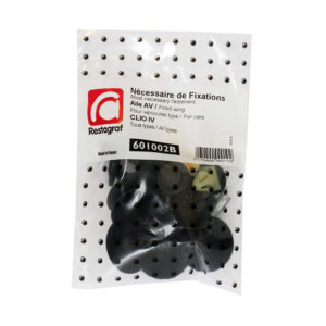 NF Aile AV Renault Clio IV (X98) Restagraf 10/2012-